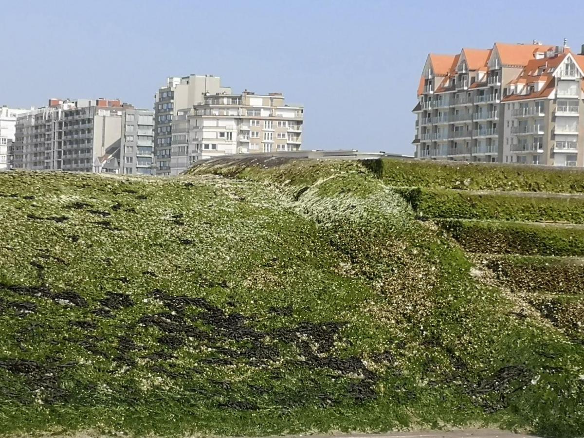 מידלקרק Westeinders Sea View מראה חיצוני תמונה